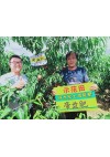 实验示范3