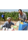 实验示范7