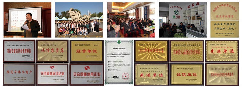 人生就是博·(中国) - 官方网站