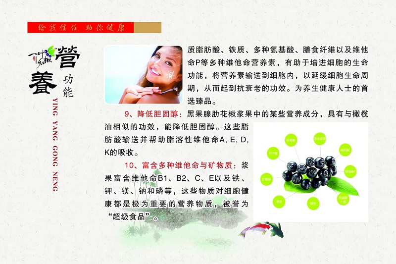 人生就是博·(中国) - 官方网站