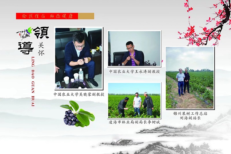 人生就是博·(中国) - 官方网站