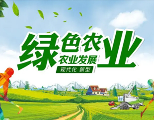 锦州尊龙凯时黑果科技有限公司