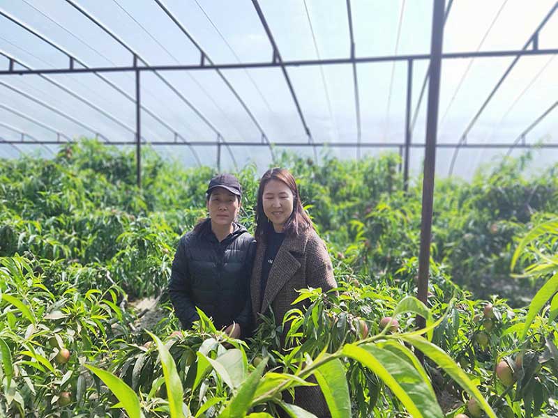 人生就是博·(中国) - 官方网站